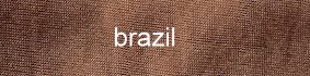 farbe_brazil_omero_aestiva.jpg