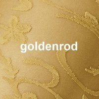 farbe_hk_goldenrod_172310.jpg