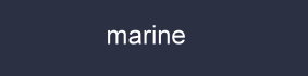 farbe_marine_cette.jpg