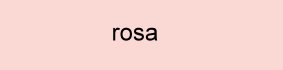 farbe_rosa_cdr.jpg